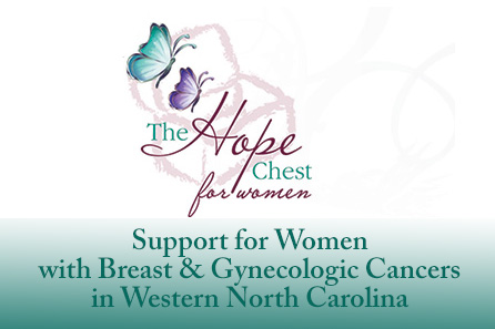 asheville nonprofit