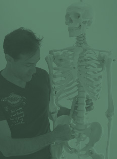 Anatomy