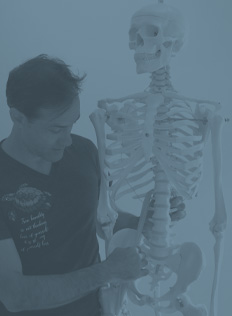 Anatomy