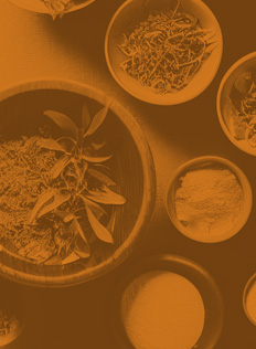 Ayurveda