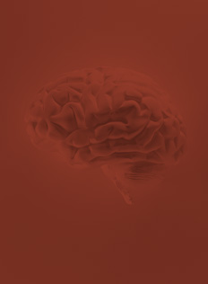 Neuroscience