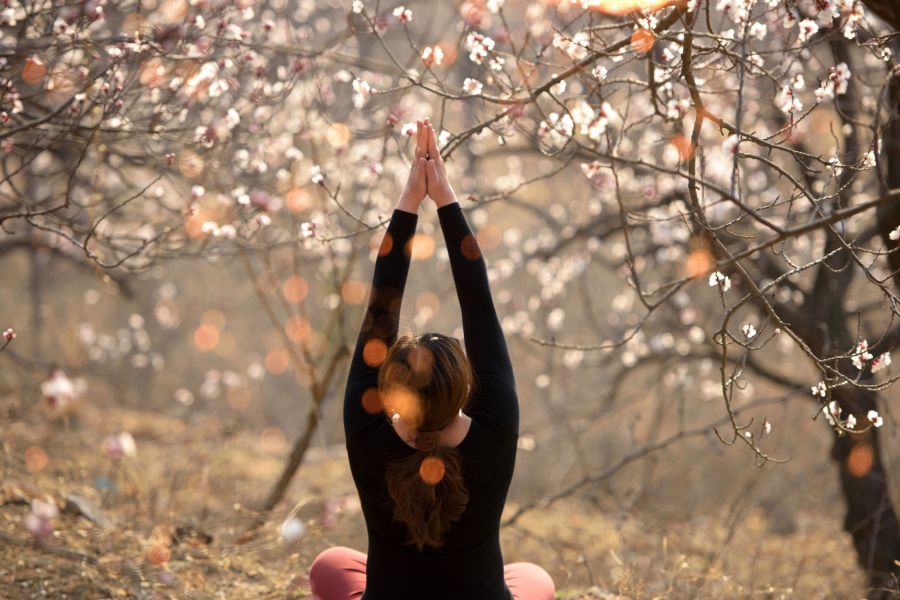 bringing yoga to life
